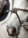PS of Sweden Athens Figure 8 Bridle - ReRide Consignment 