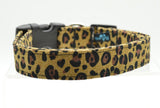 DCW Leopard Dog Collar - ReRide Consignment 